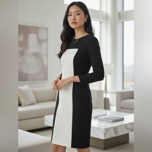 Akris Punto Navy & Ivory Colorblock Sheath Dress Minimalist Tailored US 6